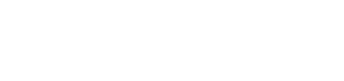 Indra Group Logo